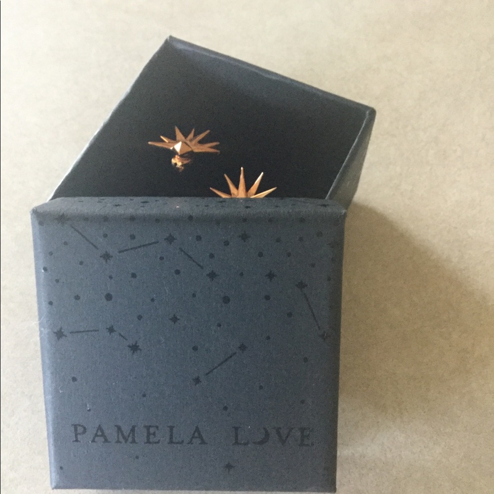 ROSE GOLD PAMELA LOVE EARRINGS